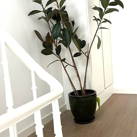 公寓 Kaai 24 尼乌波特