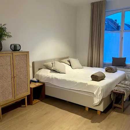 公寓 Kaai 24 尼乌波特