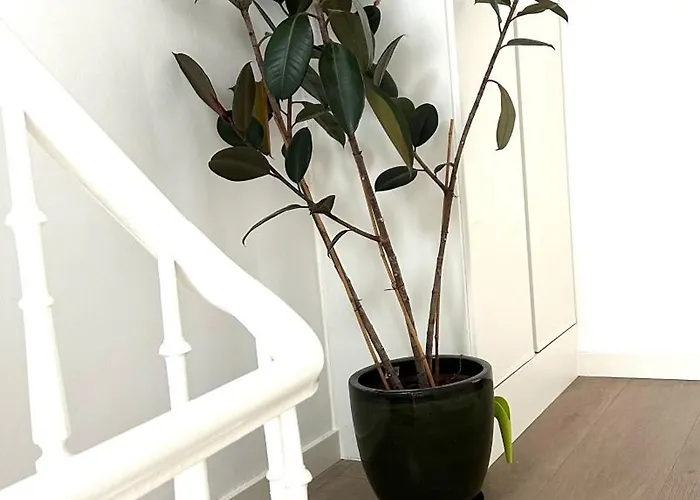 Apartamento Kaai 24 Nieuwpoort